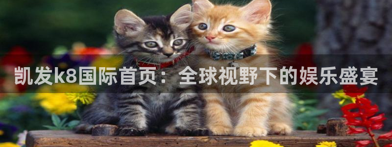上海U8国际汽车电子有限公司：凯发k8国际首页：全球视野下的娱乐盛宴