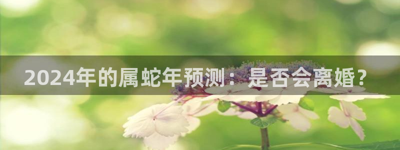 U8国际体育注册：2024年的属蛇年预测：是否会离婚？