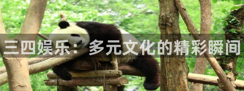 U8国际体育凯捷代理注册：三四娱乐：多元文化的精彩瞬间
