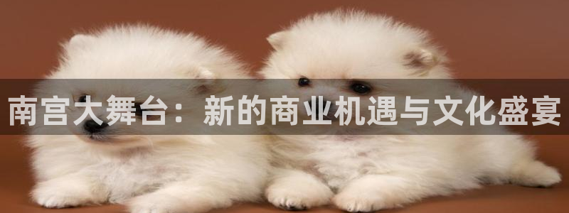 U8国际集团：南宫大舞台：新的商业机遇与文化盛宴