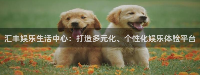 U8国际2体育：汇丰娱乐生活中心：打造多元化、个性化娱乐体验平台