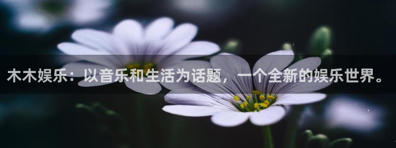U8国际官网注册：木木娱乐：以音乐和生活为话题，一个全新的娱乐世界。