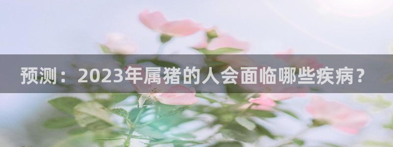 U8国际体育eon：预测：2023年属猪的人会面临哪些疾病？