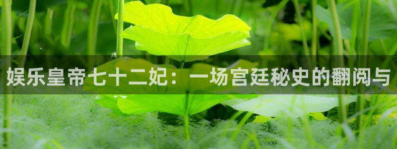 U8国际凯捷平台注册链接：娱乐皇帝七十二妃：一场宫廷秘史的翻阅与