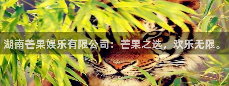 U8国际3