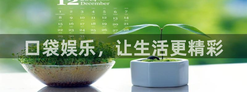 东莞市U8国际电子科技有限公司：口袋娱乐，让生活更精彩