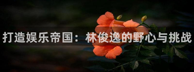 U8国际2体育登录入口：打造娱乐帝国：林俊逸的野心与挑战