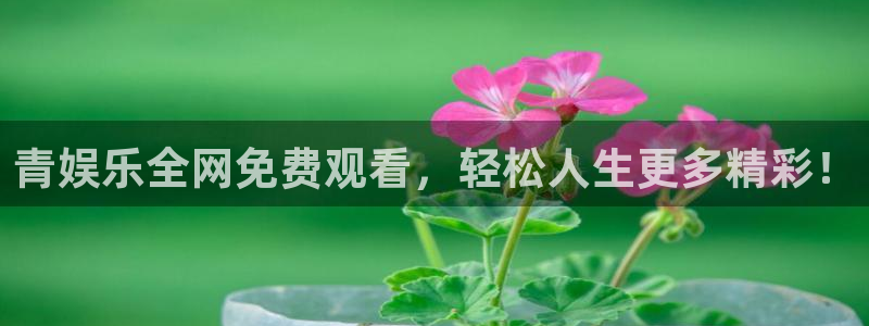 U8国际体育凯捷平台招商：青娱乐全网免费观看，轻松人生更多精彩！
