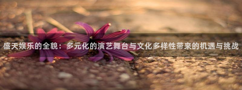 U8国际平台开户链接：盛天娱乐的全貌：多元化的演艺舞台与文化多样性带来的机遇与挑战