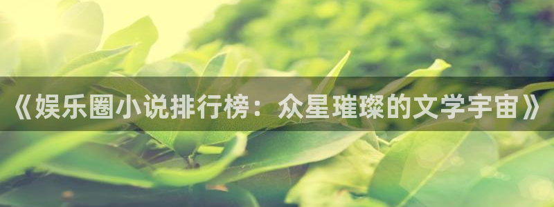 U8国际体育和杏耀是哪个公司的：《娱乐圈小说排行榜：众星璀璨的文学宇宙》