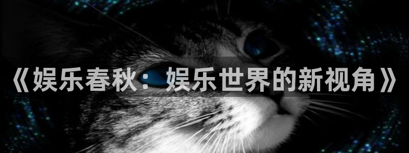 U8国际体育平台登录入口：《娱乐春秋：娱乐世界的新视角》