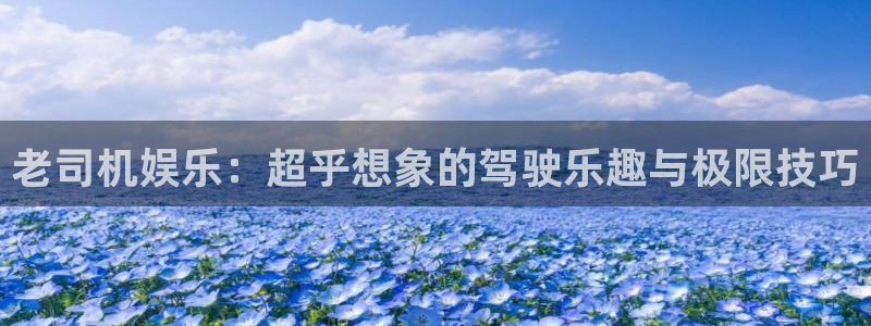 U8国际体育平台登录入口：老司机娱乐：超乎想象的驾驶乐趣与极限技巧