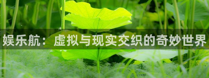 U8国际登录注册：娱乐航：虚拟与现实交织的奇妙世界