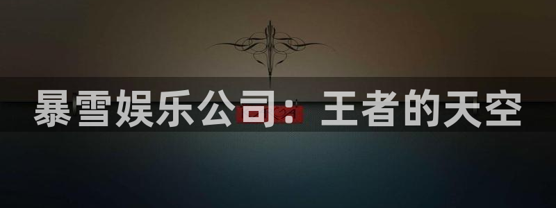 U8国际集团总部：暴雪娱乐公司：王者的天空