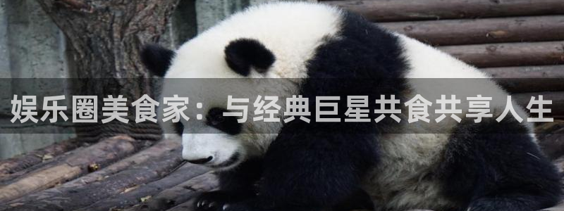 U8国际集团官网：娱乐圈美食家：与经典巨星共食共享人生