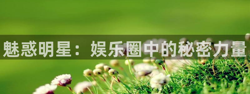 U8国际3官网：魅惑明星：娱乐圈中的秘密力量