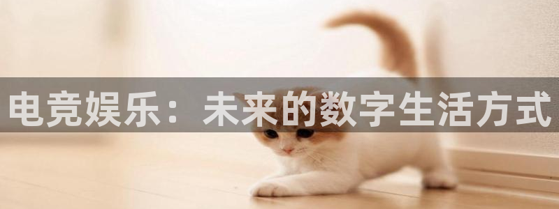 U8国际官网注册：电竞娱乐：未来的数字生活方式