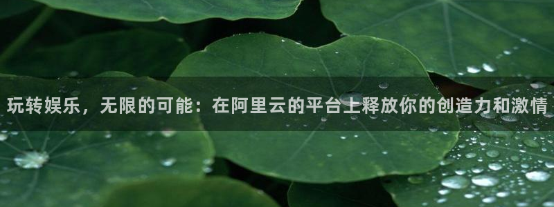 U8国际：玩转娱乐，无限的可能：在阿里云的平台上释放你的创造力和激情