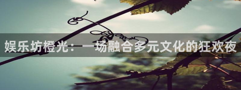 U8国际体育平台登录入口：娱乐坊橙光：一场融合多元文化的狂欢夜