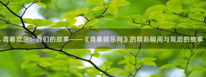 U8国际2登录：青春欢乐：我们的故事——《青春娱乐网》的精彩瞬间与背后的故事