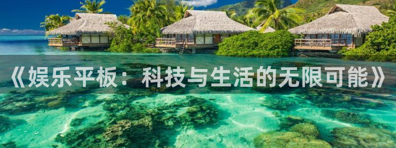 U8国际股份：《娱乐平板：科技与生活的无限可能》