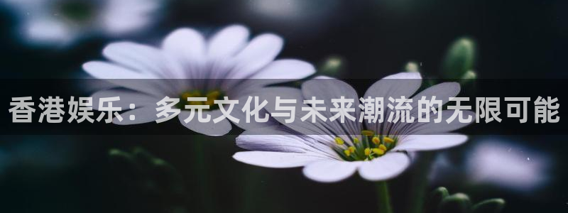 U8国际f凯捷平台在线注册：香港娱乐：多元文化与未来潮流的无限可能