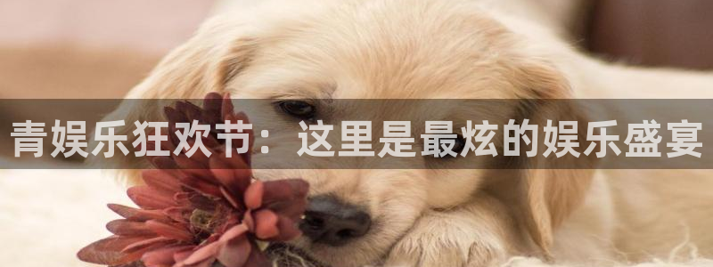 U8国际：青娱乐狂欢节：这里是最炫的娱乐盛宴