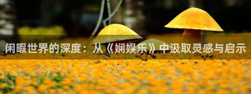 U8国际代理注册官网入口：闲暇世界的深度：从《娴娱乐》中汲取灵感与启示