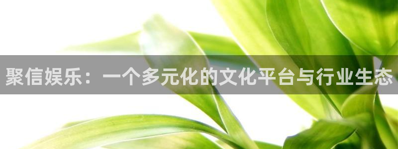 U8国际体育和杏耀是哪个公司的：聚信娱乐：一个多元化的文化平台与行业生态